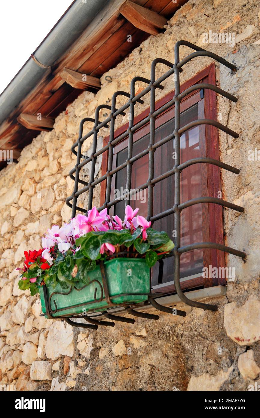 Vintage window with flower box - Italy Stock Photo