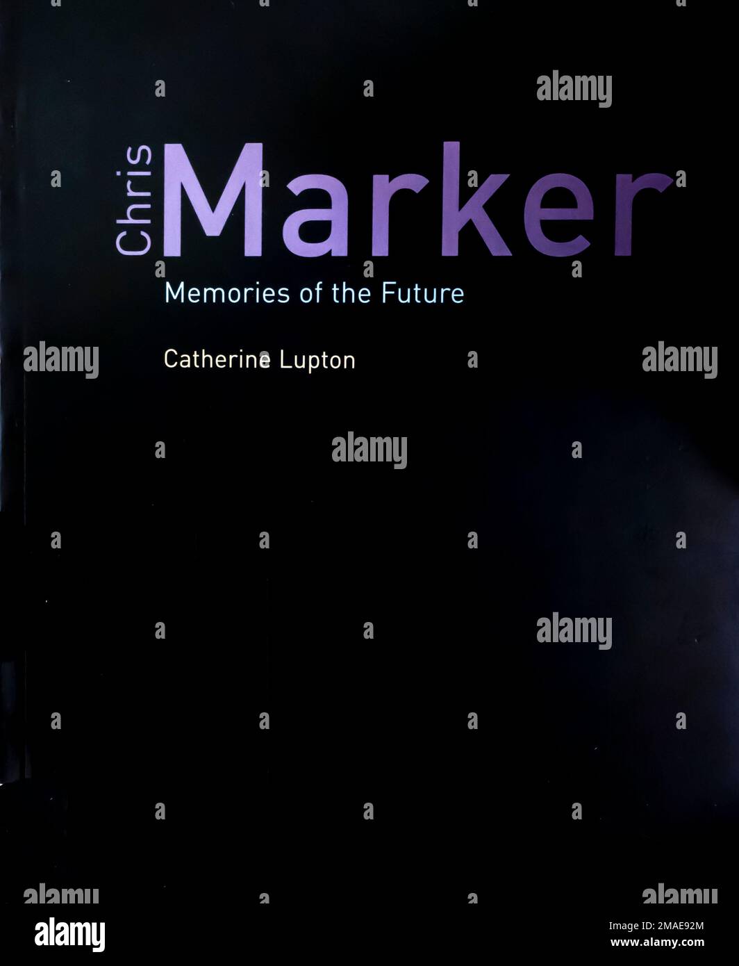Chris Marker: Memories of the Future Book by Catherine Lupton 2004 Stock Photo