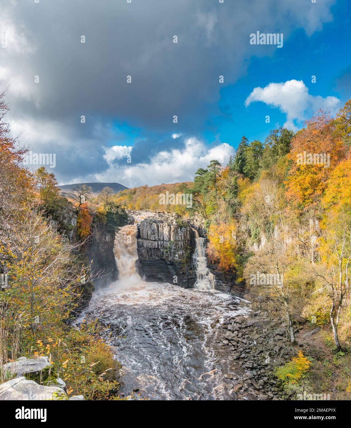 Vivid autumn colours, strong sunshine and a super sky in this view of a swollen River Tees at High Force Waterfall. Taken from the Pennine Way Stock Photo