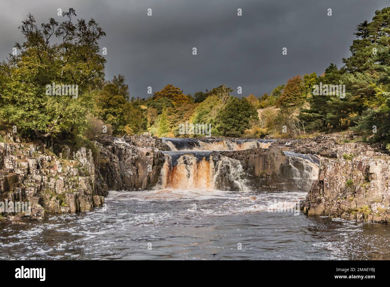 A brief patch of very strong sunshine lights up Low Force Waterfall in dramatic conditions against a dark sky. Stock Photo