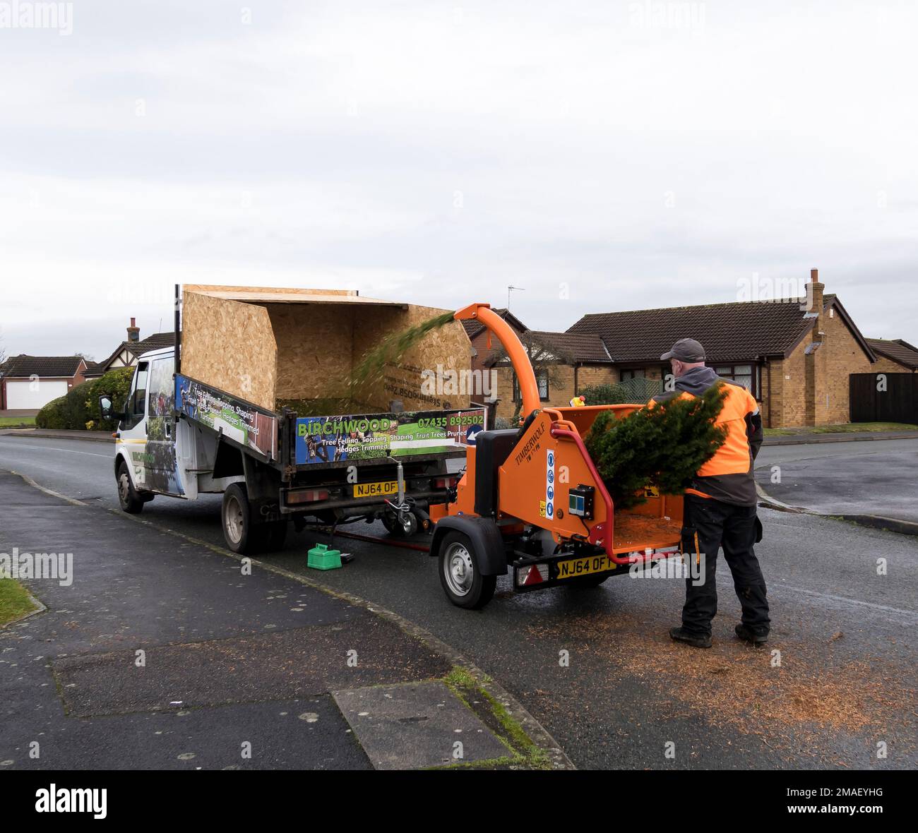 Mulching tree branches Stock Photo Alamy