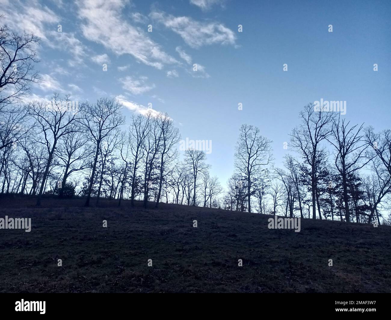 A landscape with winter trees under blue cloudy sky Stock Photo - Alamy