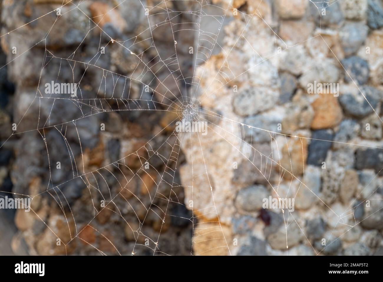Wallpaper n and the wall hi-res stock photography and images - Alamy