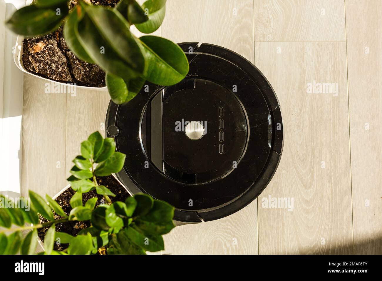 The robot vacuum cleaner drives on the laminate floor. Smart House