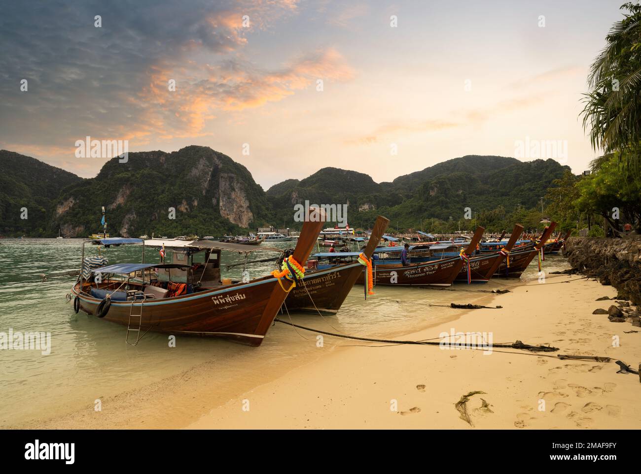 Phi Phi Island, Krabi, Thailand. December 3, 2022. The famous Ton Sai beach at sunset time. Traditional tour boats on the beach and beautiful bay view Stock Photo