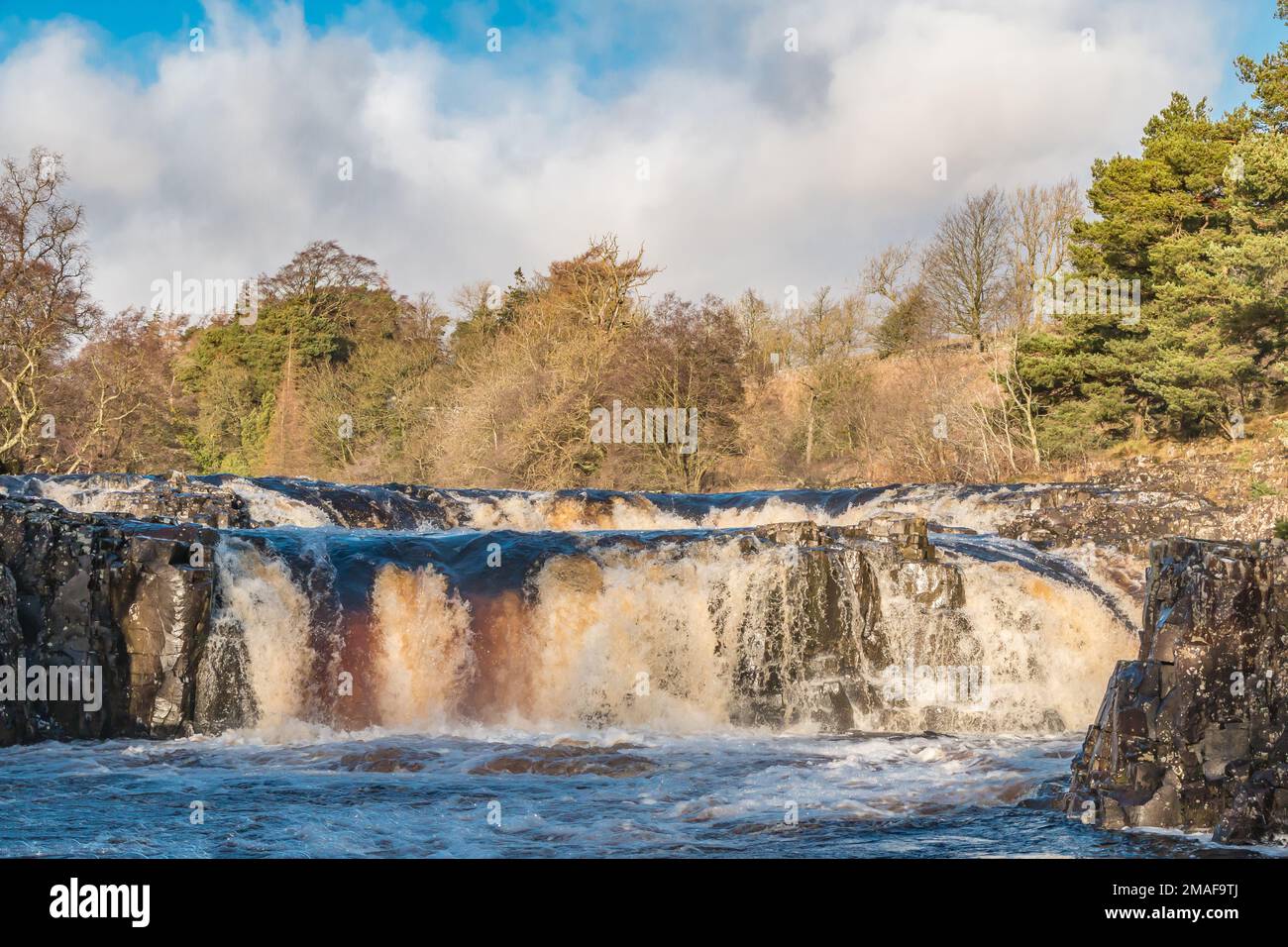 Strong low angled winter sunshine on Low Force waterfall. The Tees is swollen after a wet previous day. Christmas Eve 2022 Stock Photo