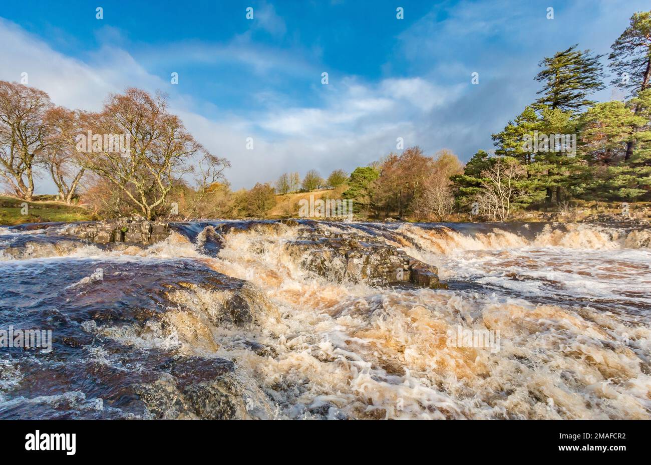Cascades and a swollen River Tees just above the main Low Force waterfall, as seen fom the Pennine Way long distance footpath. Stock Photo