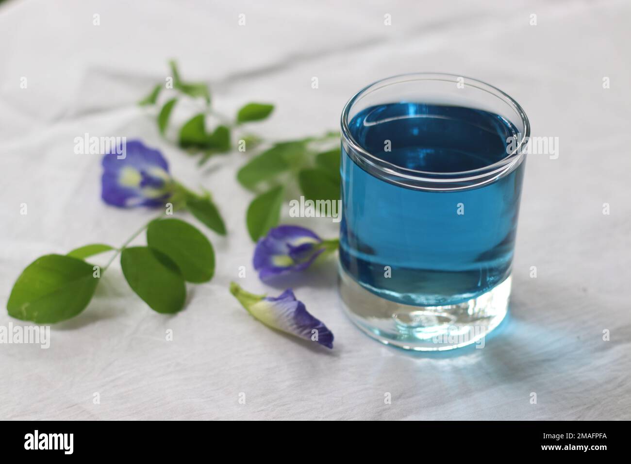 Butterfly pea flower tea. A herbal tea made with flowers of the Clitoria ternatea plant, native to Southeast Asia. Cobalt blue color drink have variet Stock Photo