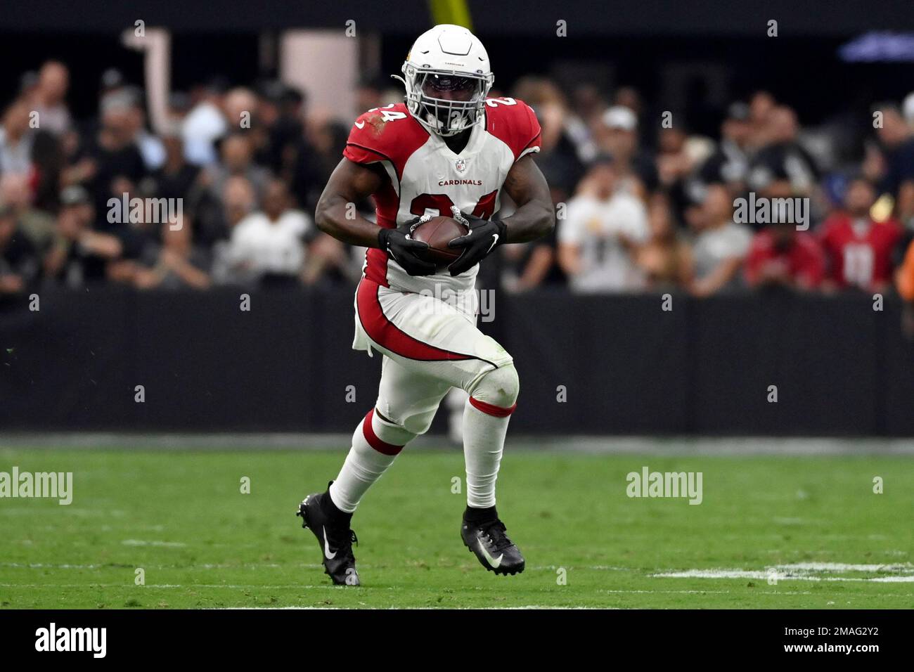 Arizona Cardinals running back Darrel Williams (24) runs with the ball  during an NFL football game against the Carolina Panthers, Sunday, Oct. 2,  2022, in Charlotte, N.C. (AP Photo/Brian Westerholt Stock Photo - Alamy