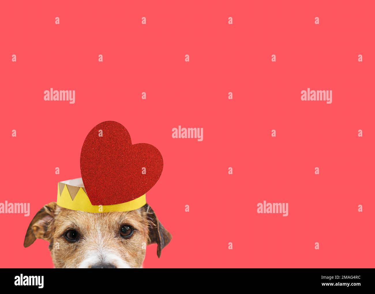 Dog as little funny cupid wearing love crown with glittering heart peeking from behind edge Stock Photo