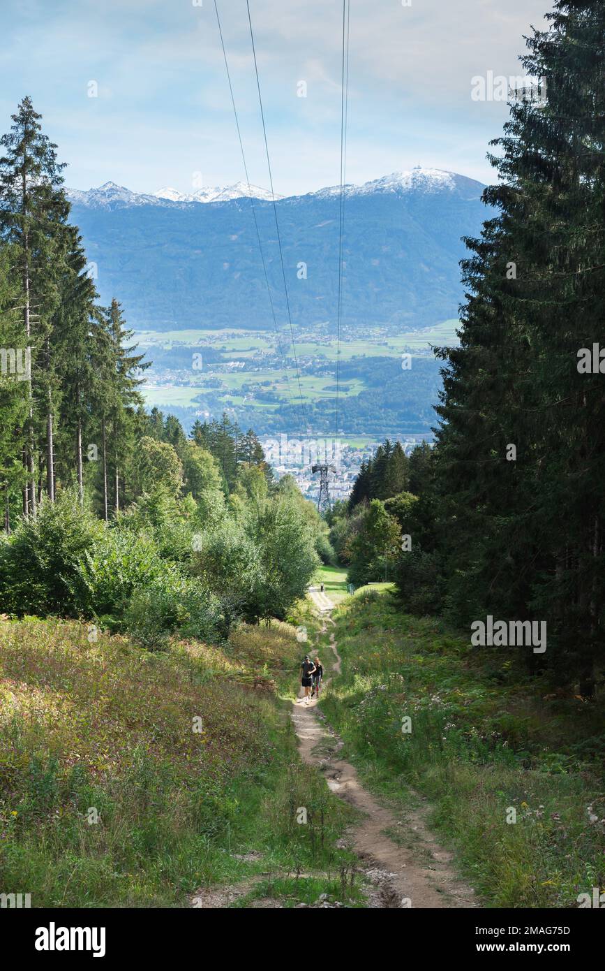 Young woman hiking in the forest in the summer. Hiking concept in the  mountain in summer Stock Photo - Alamy