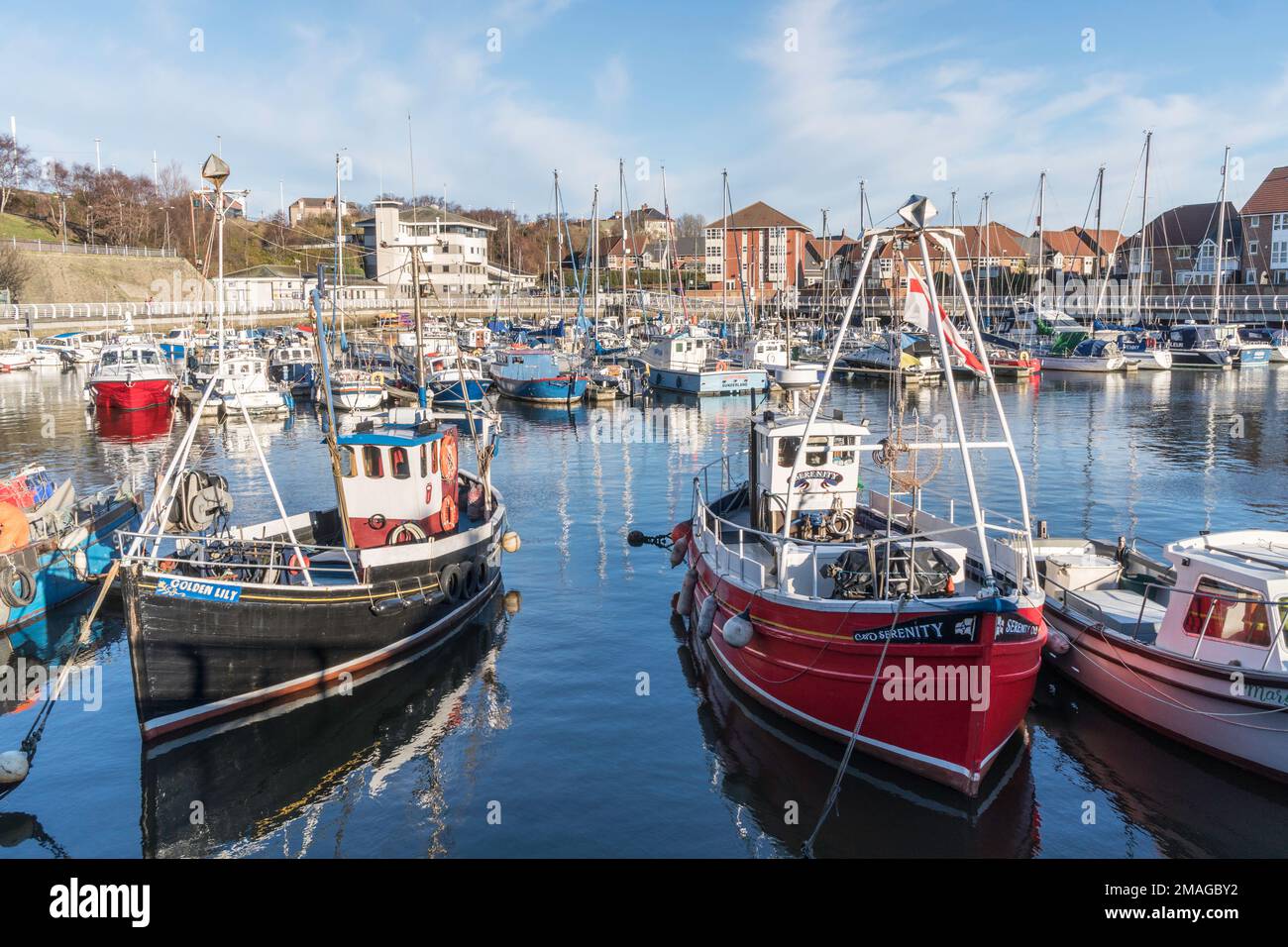 Boats moored in Roker marina, Sunderland, north east England, UK Stock Photo