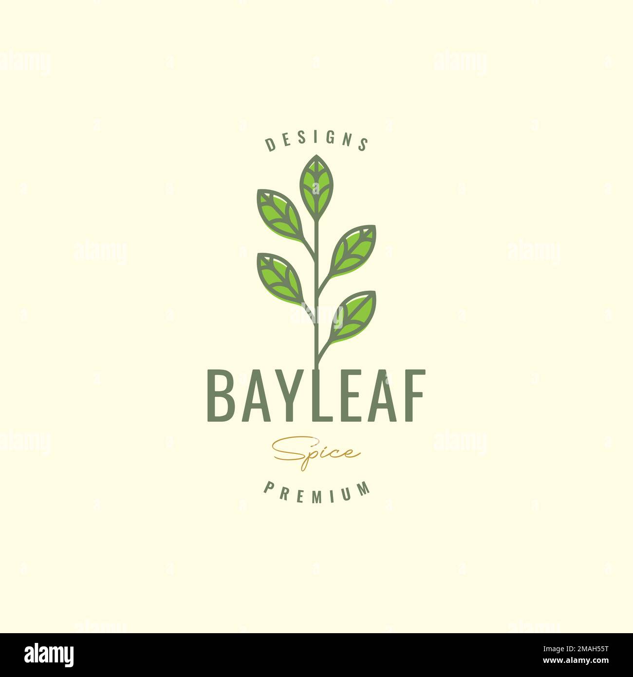 bay leaf aromatic cooking spice minimal colored hipster logo design