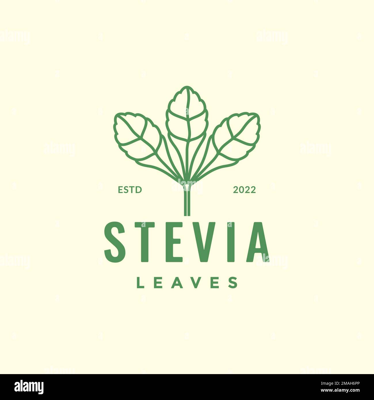 Stevia twig Stock Vector Images Alamy