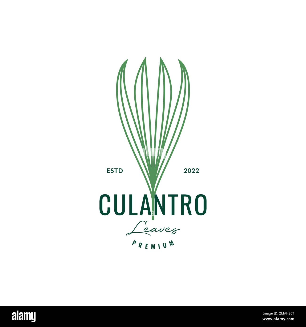 culantro tropical plant leaves hipster colored logo design vector icon illustration template Stock Vector