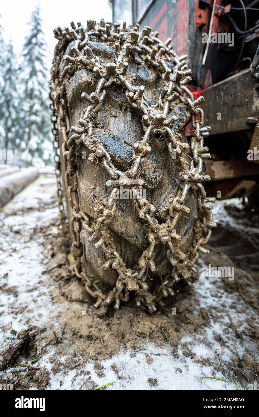 Closeup for extreme big off road 4x4 vehicle wheel with a snow and mud chains.. Extreme off