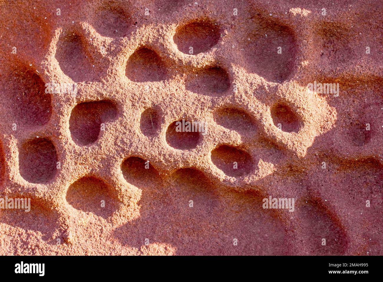 Close up of a red sandstone block, part of an old wall, showing the weathering brought on by decades exposed to the wind and rain. Stock Photo