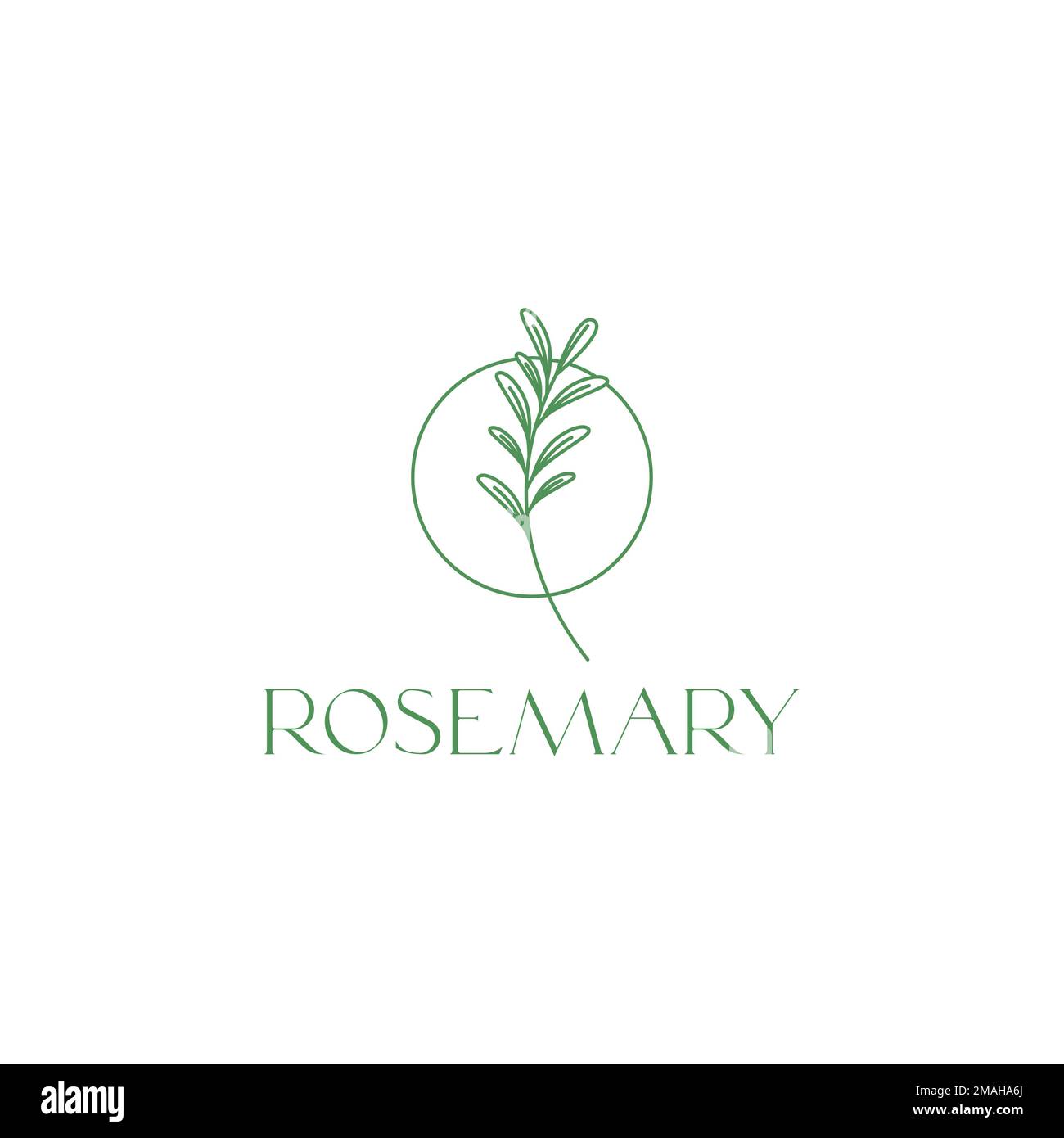 rosemary leaves treatment hair skin beauty and food minimalist line