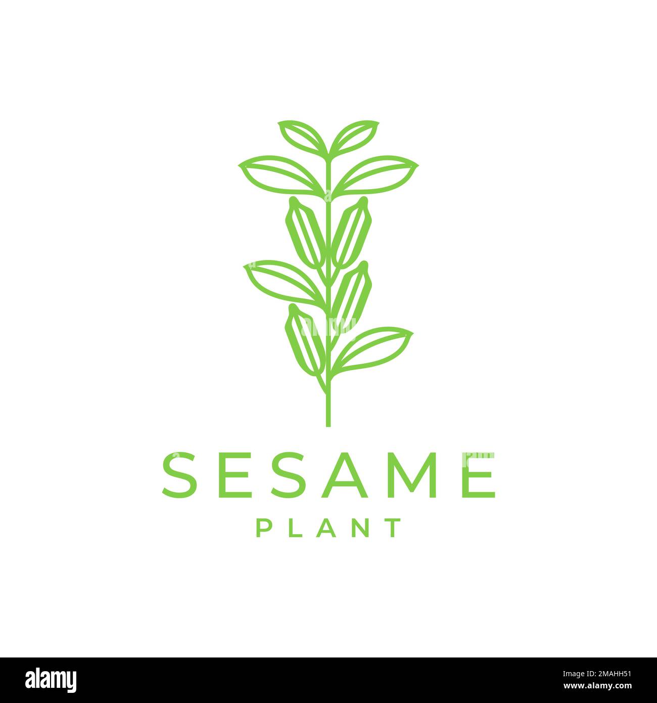 sesame plant leaves seeds food and health care hair benefits logo ...