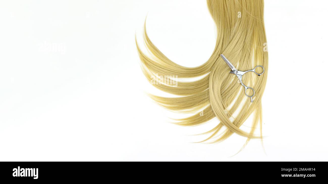 Strand of blonde hair with Hairdresser scissors, hair care. Hair tools, beauty and hairdressing concept. Hair care, healthy Stock Photo