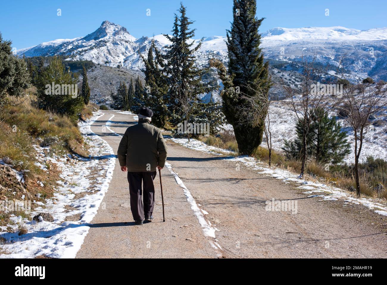 Hombre mayor con bastón caminando por un camino de montaña Stock Photo