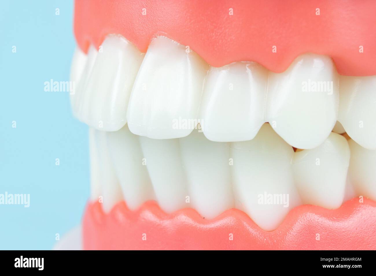 Prosthetic dentistry. Advertising. Removable denture. Dentist appointment Regular checkups are essential to oral health. Orthodontic tools, brace, bra Stock Photo