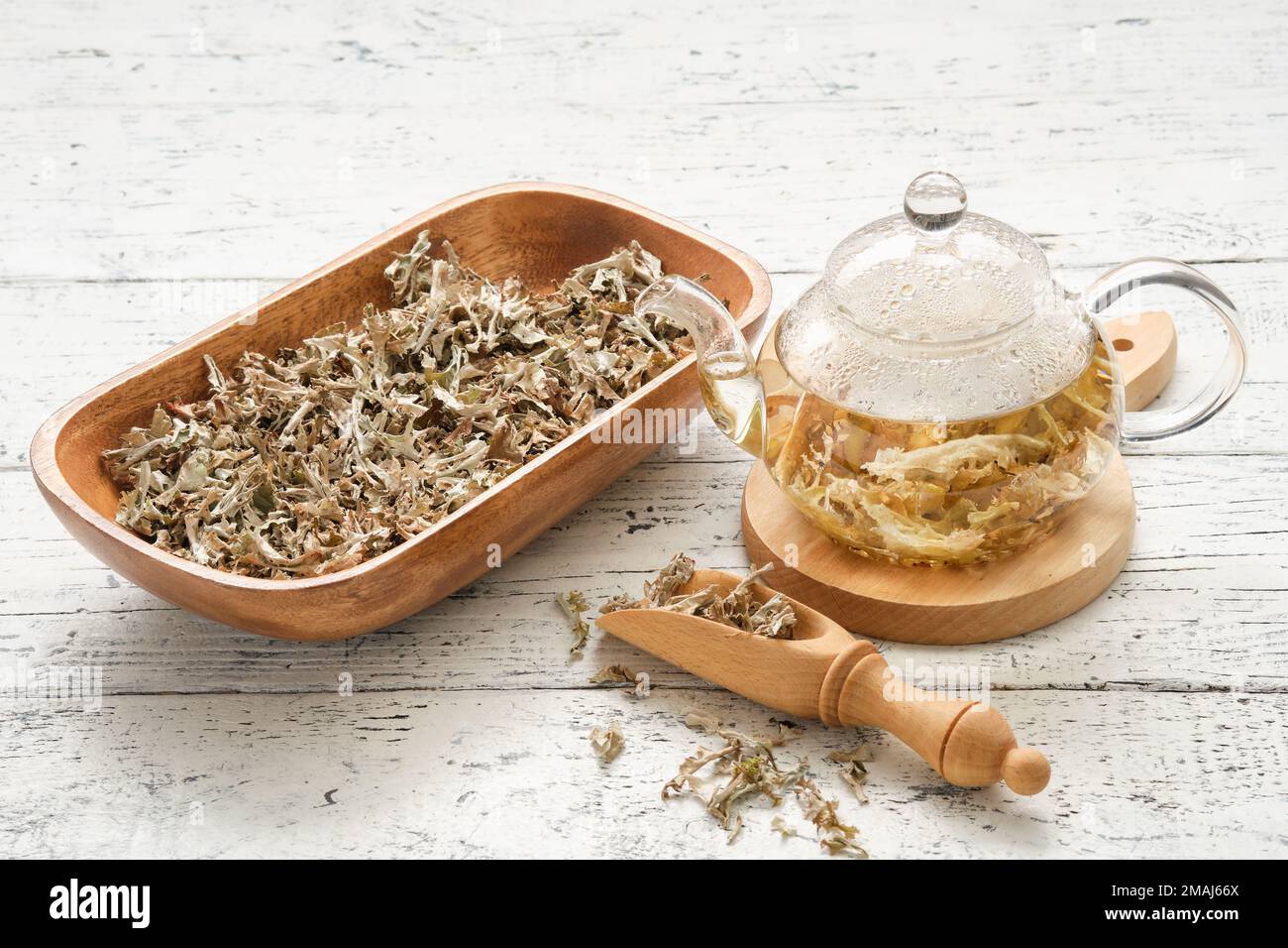 Glass teapot of herbal Icelandic moss tea. Wooden scoop and bowl of dried Iceland moss on white table. Cetraria islandica - latin name of plant. Alter Stock Photo