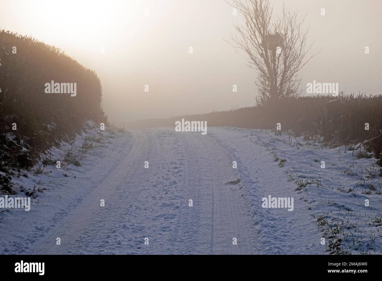 Ice freezing fog and frozen snow on rural road country lane in winter January 2023 Carmarthenshire Wales UK Great Britain  KATHY DEWITT Stock Photo
