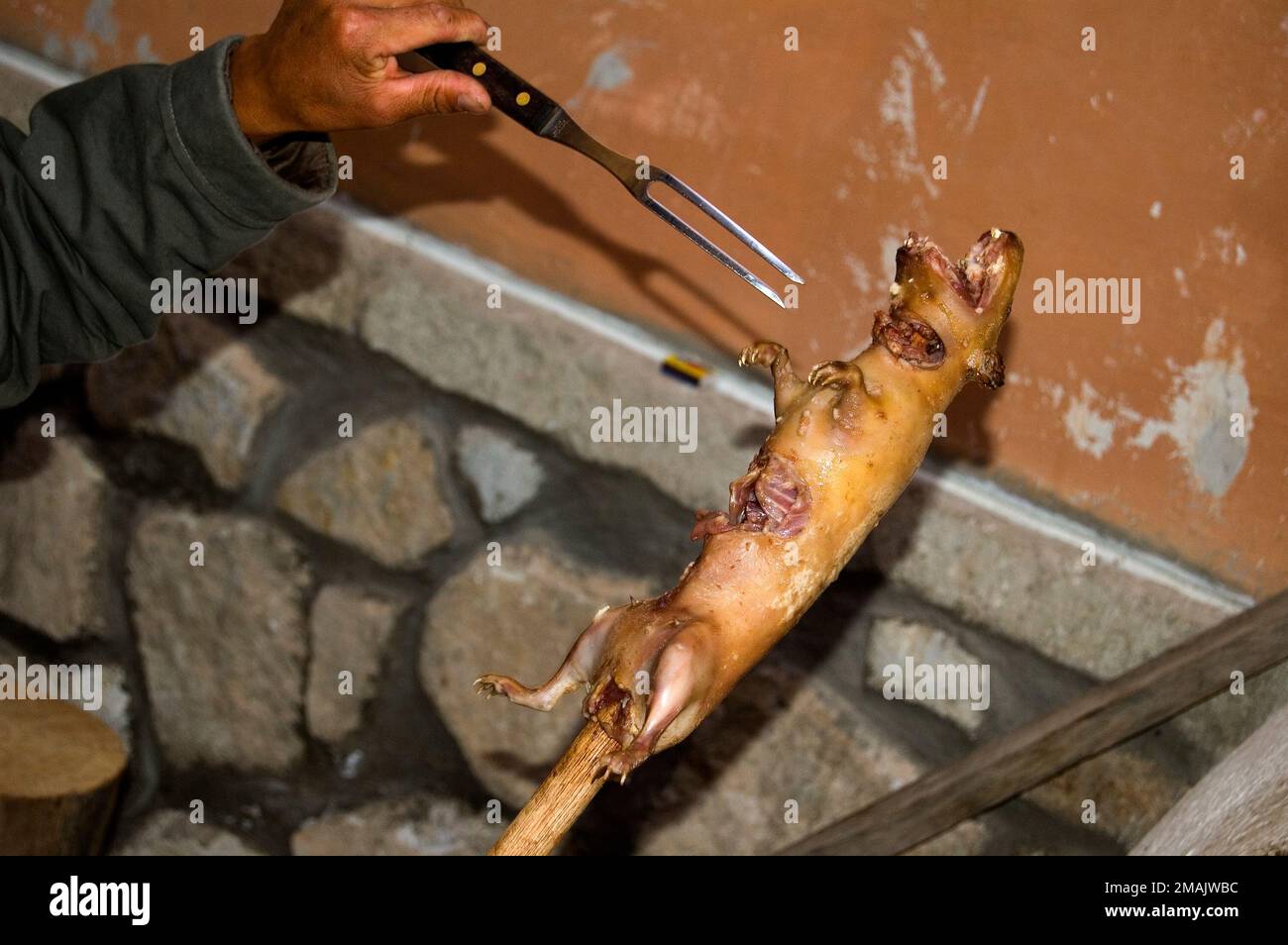 Human hand cooking a cuy following the traditional way. Guinea pig. Ecuador Stock Photo