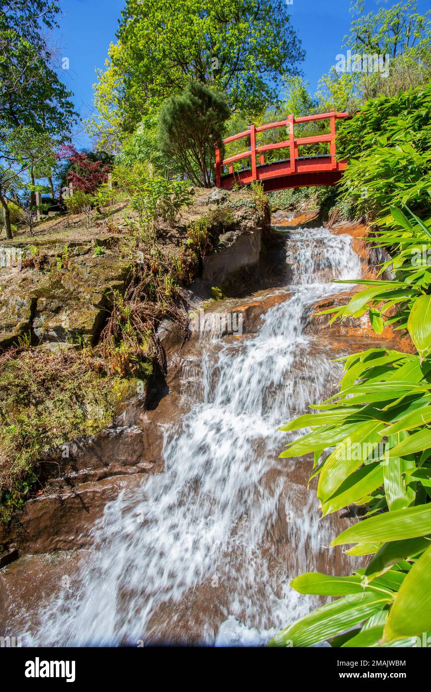 Fantastic sunny view of  waterfall in Japanese garden in Kaiserslautern in April and red bridge and Pleioblastus in  right side Stock Photo
