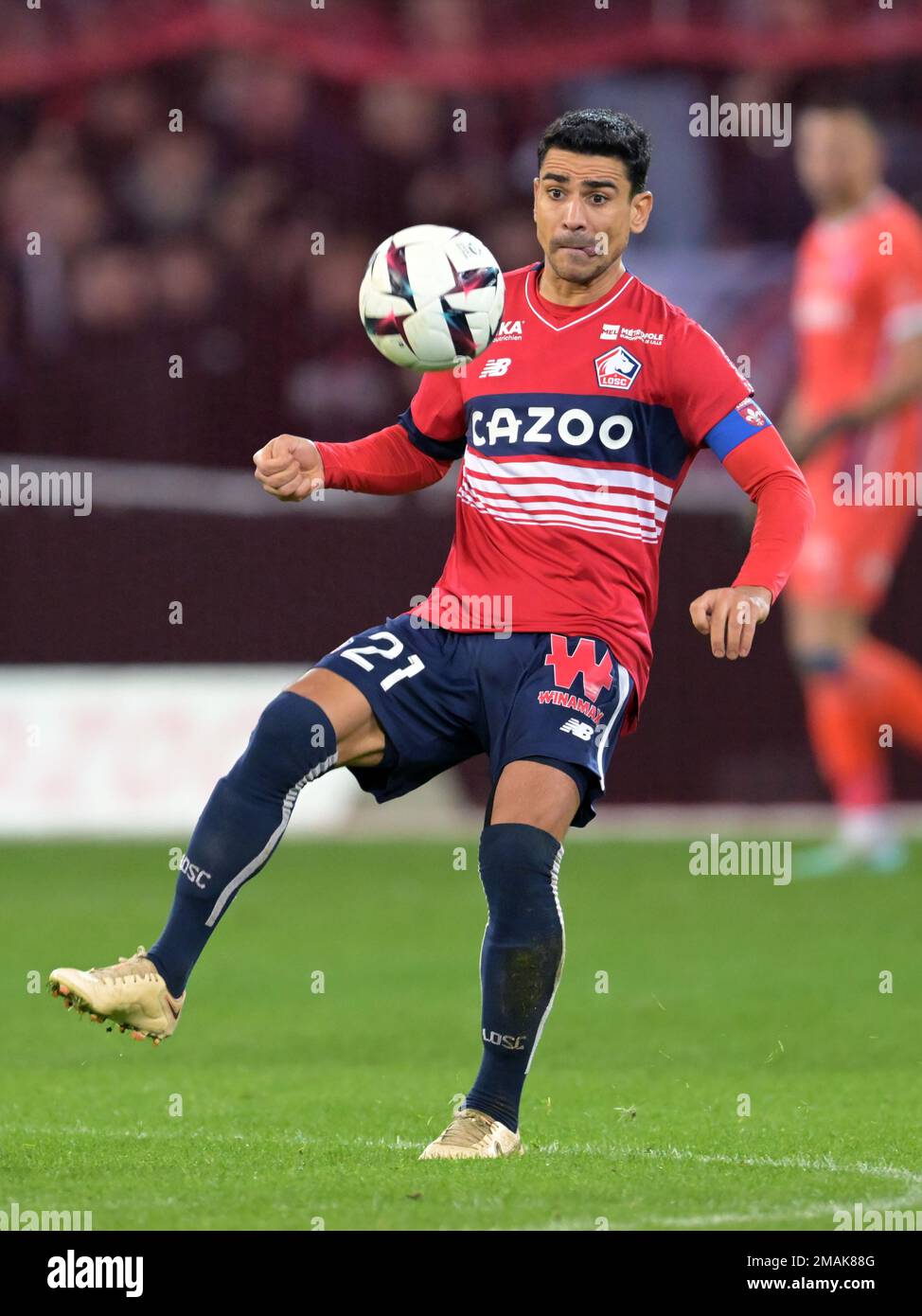 lille losc