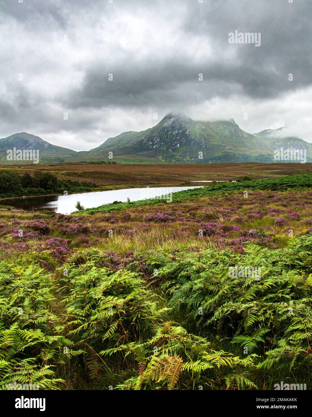 Ben Loyal in Sutherland seen from Lochan Hackel on a cloudy atmospheric afternoon Stock Photo