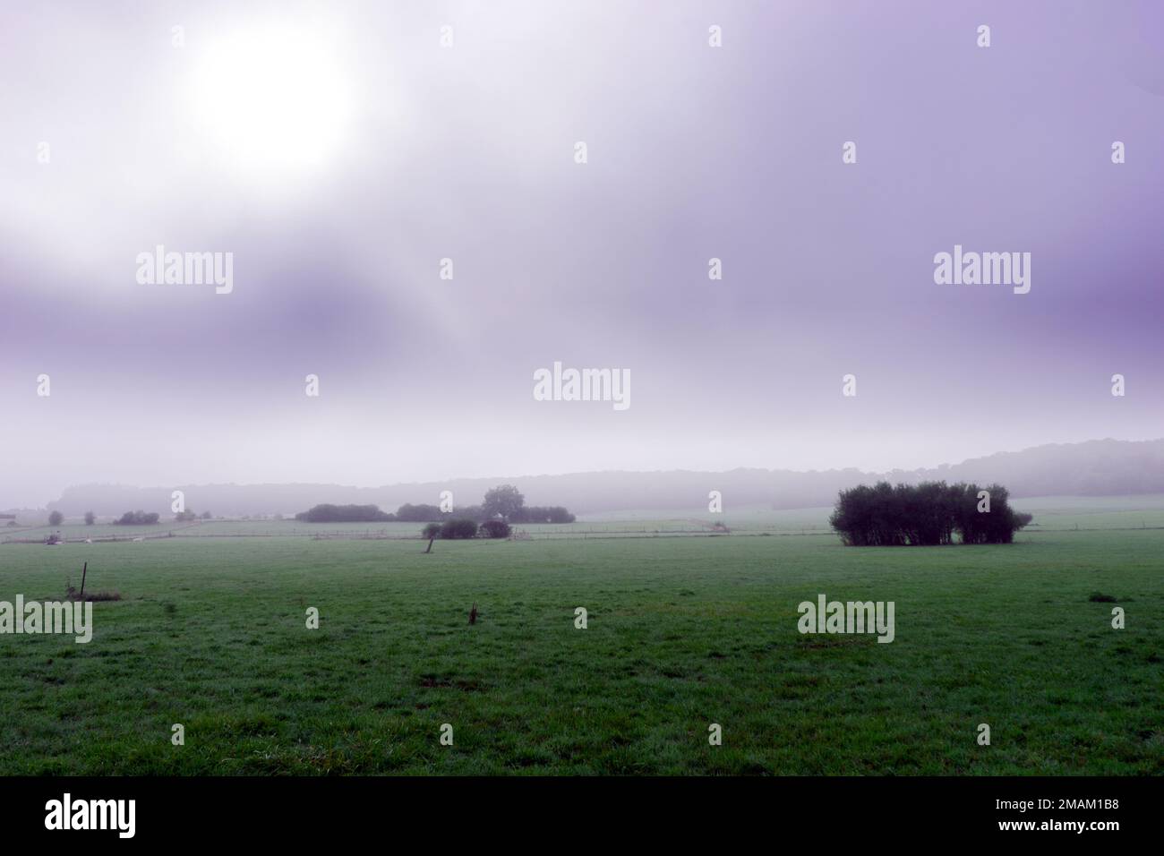 Fog mist grass field rain hi-res stock photography and images - Alamy