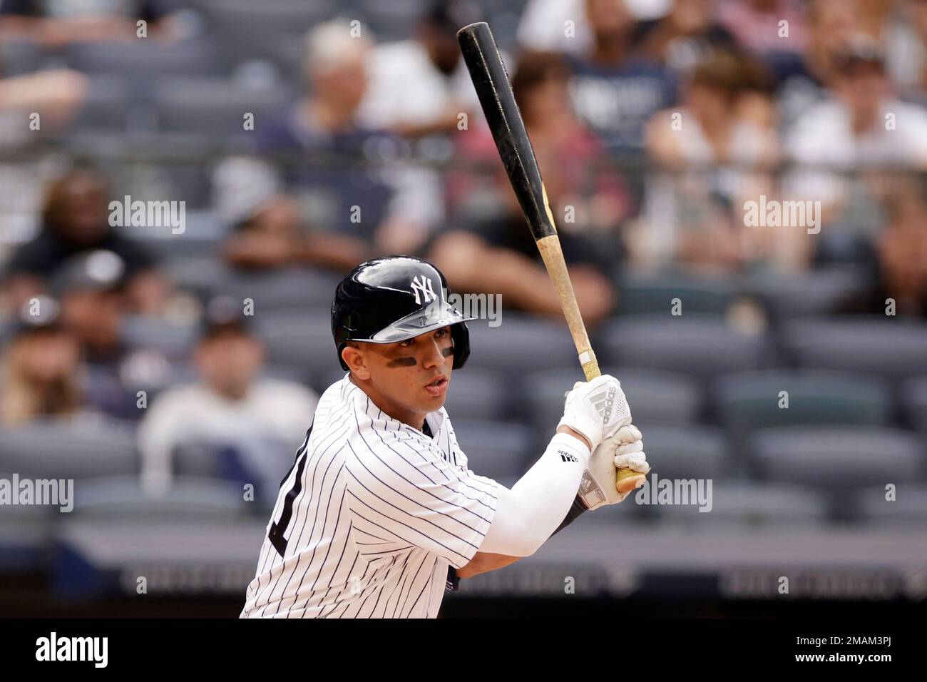 New York Yankees' Oswald Peraza at bat during the eighth inning of the