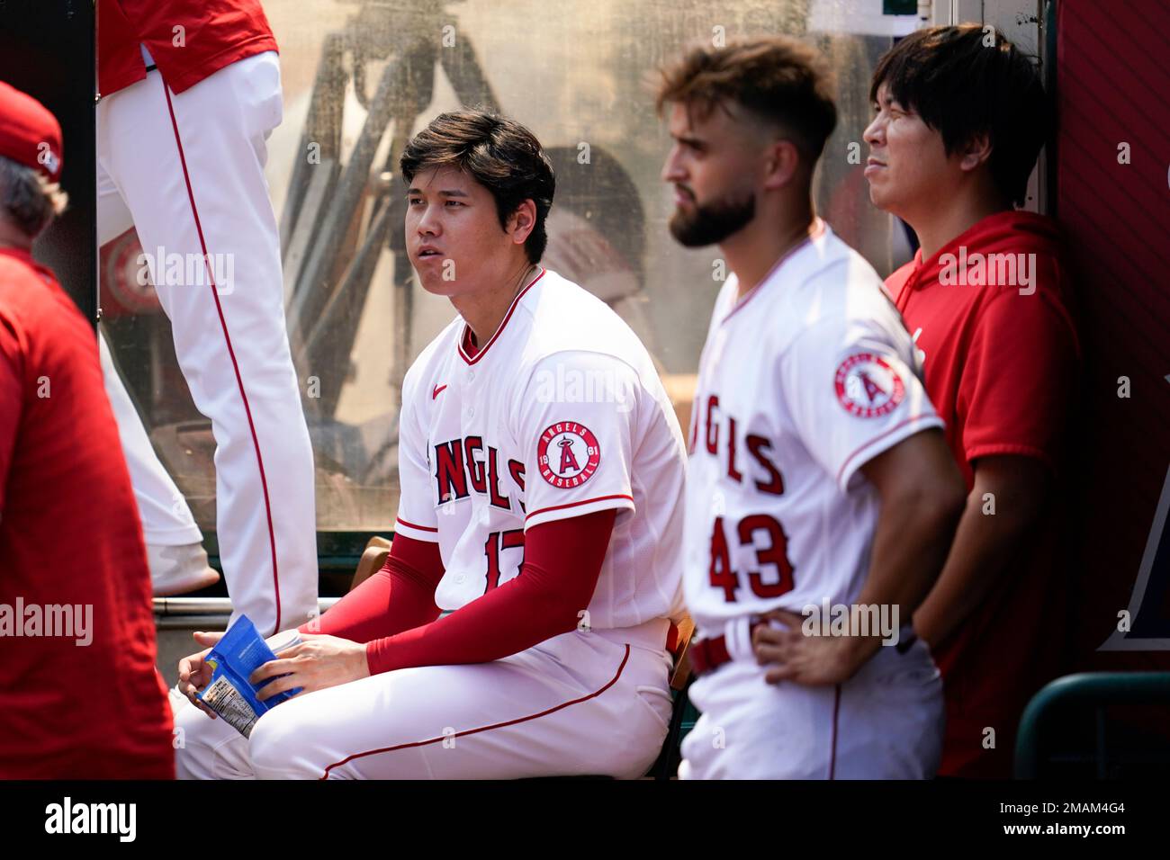 Los Angeles Angels designated hitter Shohei Ohtani (17) eats sunflower  seeds in the dugout during the first inning of a baseball game against the  Detroit Tigers in Anaheim, Calif., Wednesday, Sept. 7