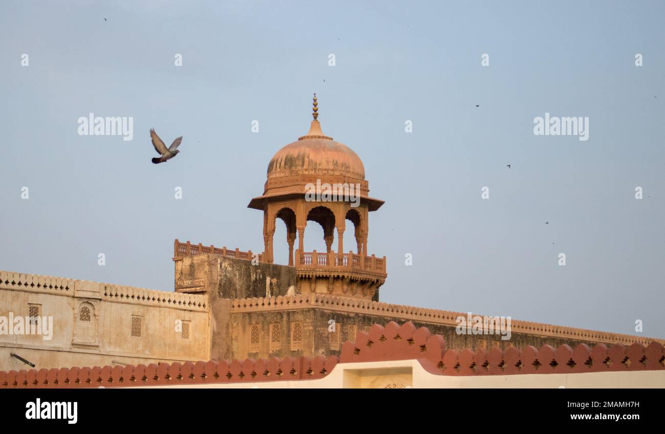A closeup of one of the domes on Lalgarh Palace in Bikaner India Stock Photo
