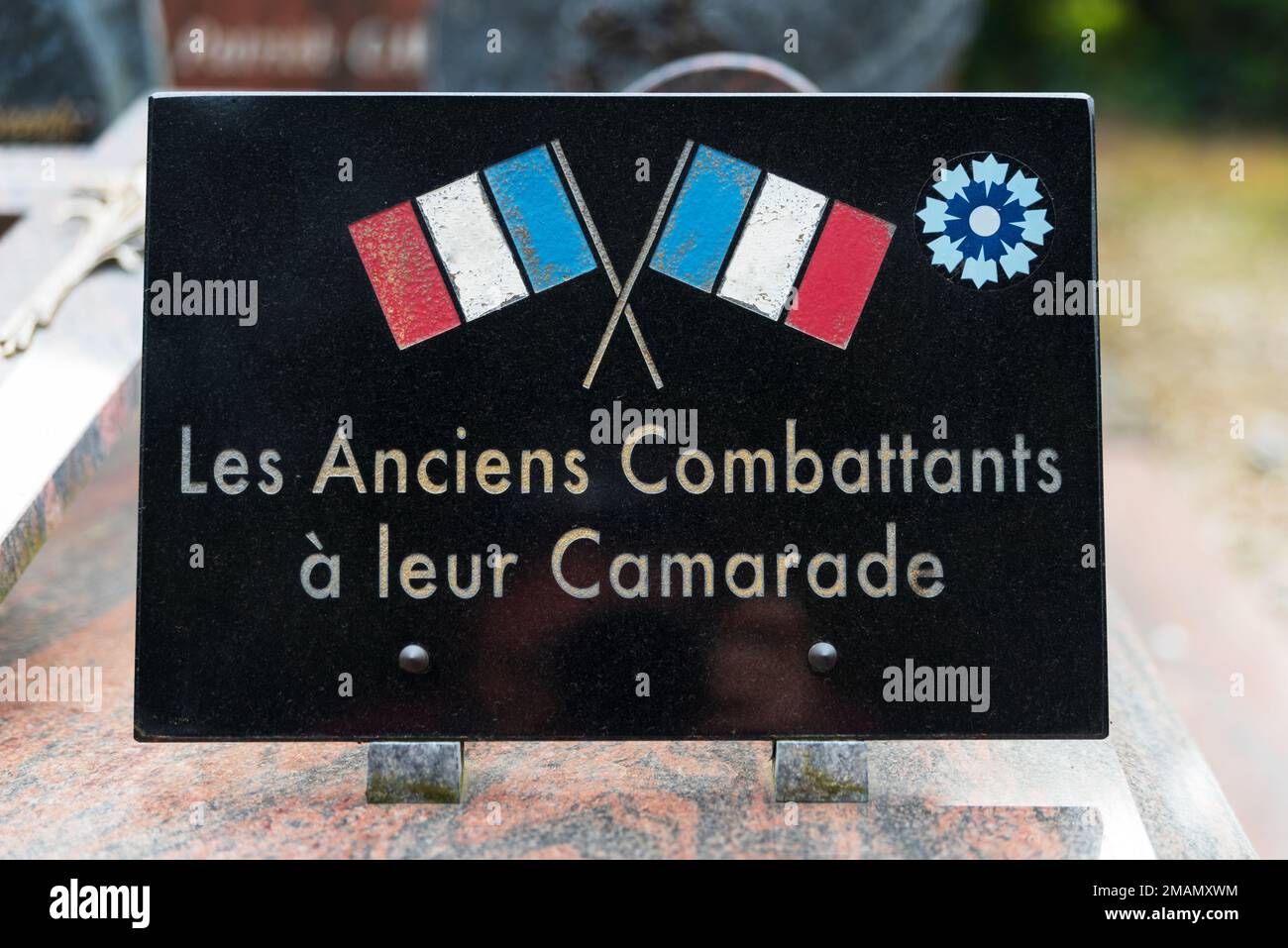 Text in french memorial grave Stock Photo Alamy