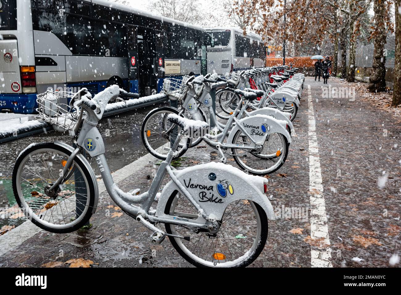 Verona, Italy, 19th January 2023. Heavy snow falls over a rank of