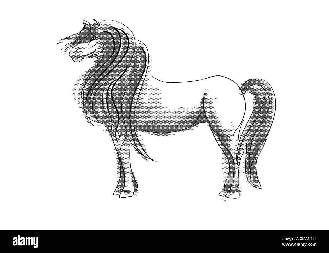 Horse illustration isolated on white background Stock Vector Image ...