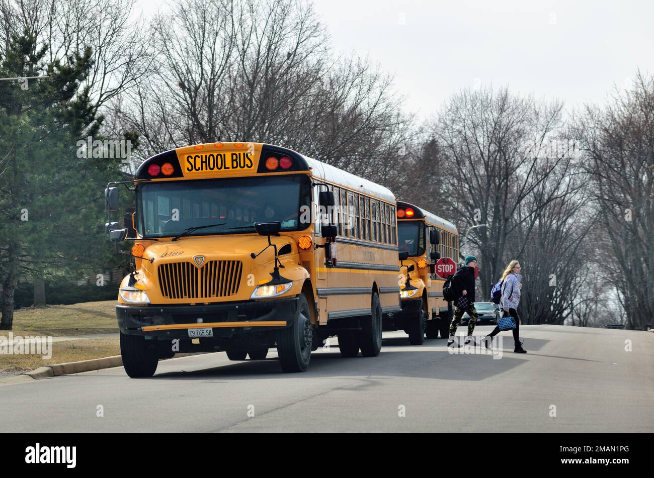 South Elgin, Illinois, USA. School buses stopped on a residential street with the second bus discharging its student passengers. Stock Photo