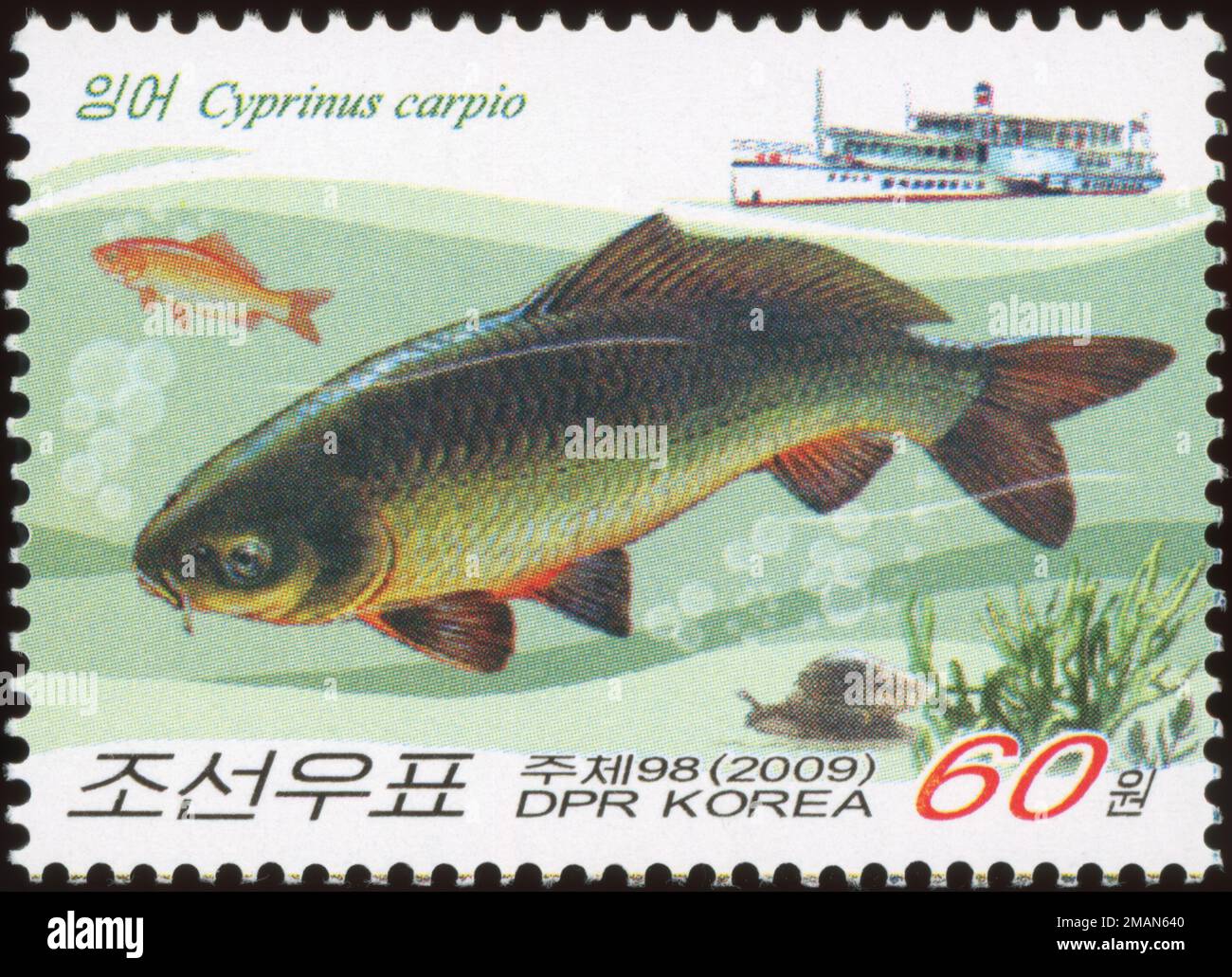 2009 North Korea stamp set. Fish. Cyprinus carpio, Eurasian carp, Common Carp, European carp Stock Photo