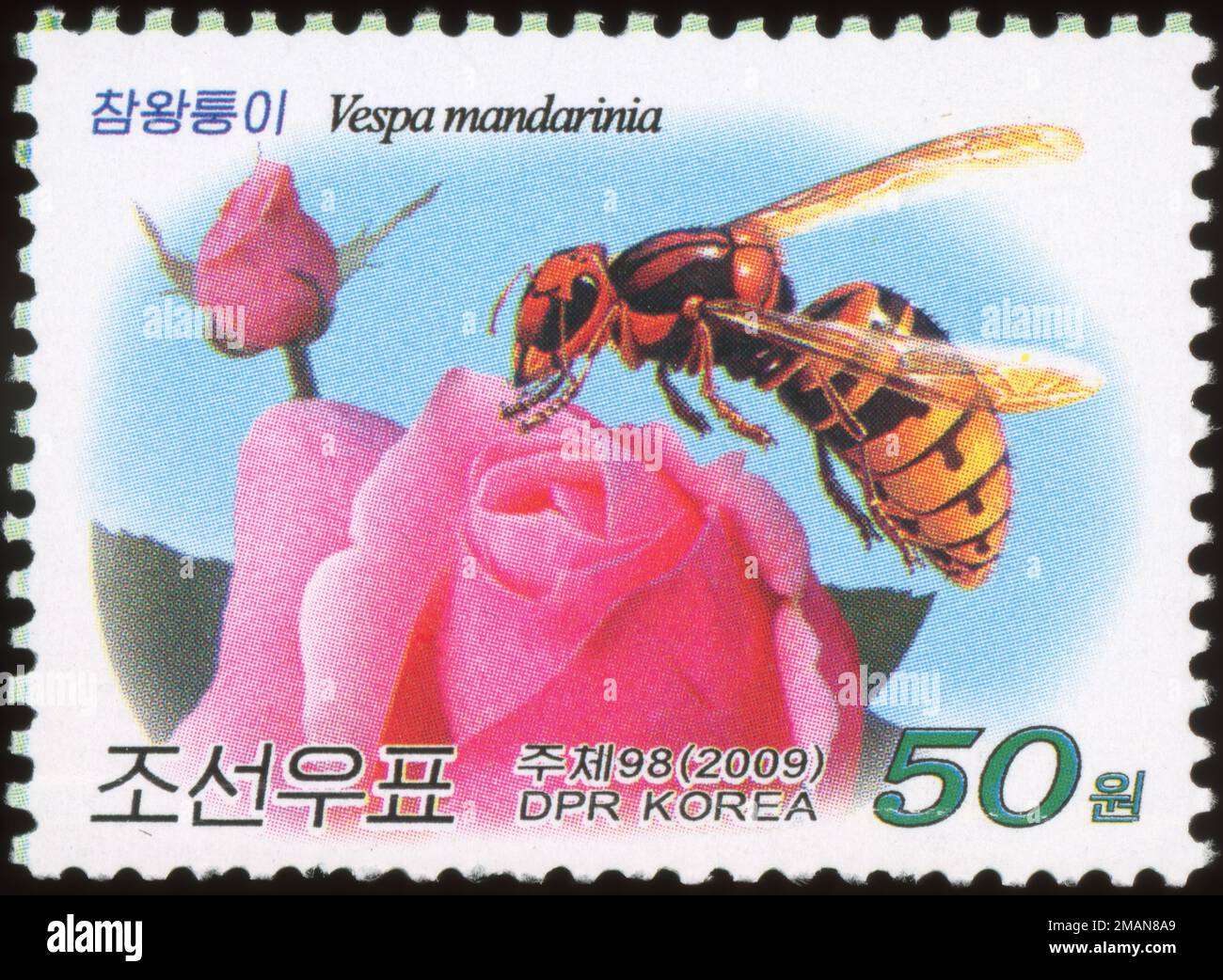 2009 North Korea stamp set. Insects. Vespa mandarinia, Asian giant hornet, Japanese giant hornet Stock Photo