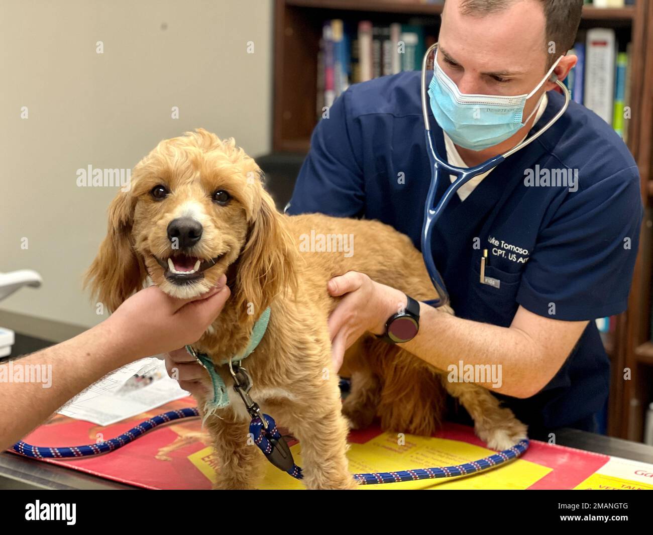 Polk Animal Hospital