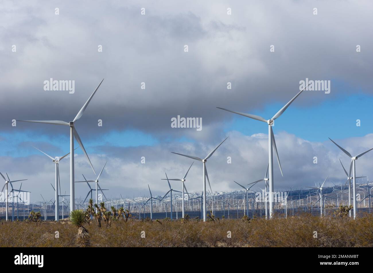 Wind turbines for the conversion of eolic energy into electricity shown