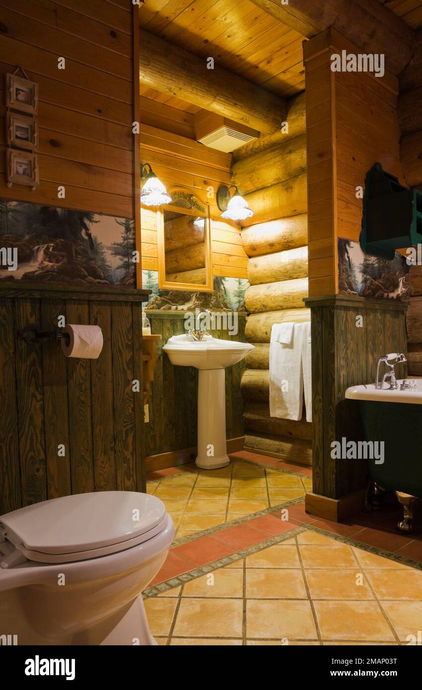 Toilet, pedestal sink and green freestanding roll top bathtub in main bathroom inside Scandinavian style log home. Stock Photo