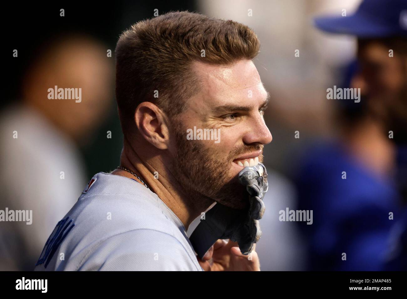 Los Angeles Dodgers' Freddie Freeman holds his batting gloves in his teeth  before the team's baseball game against the New York Mets on Tuesday, Aug.  30, 2022, in New York. (AP Photo/Adam