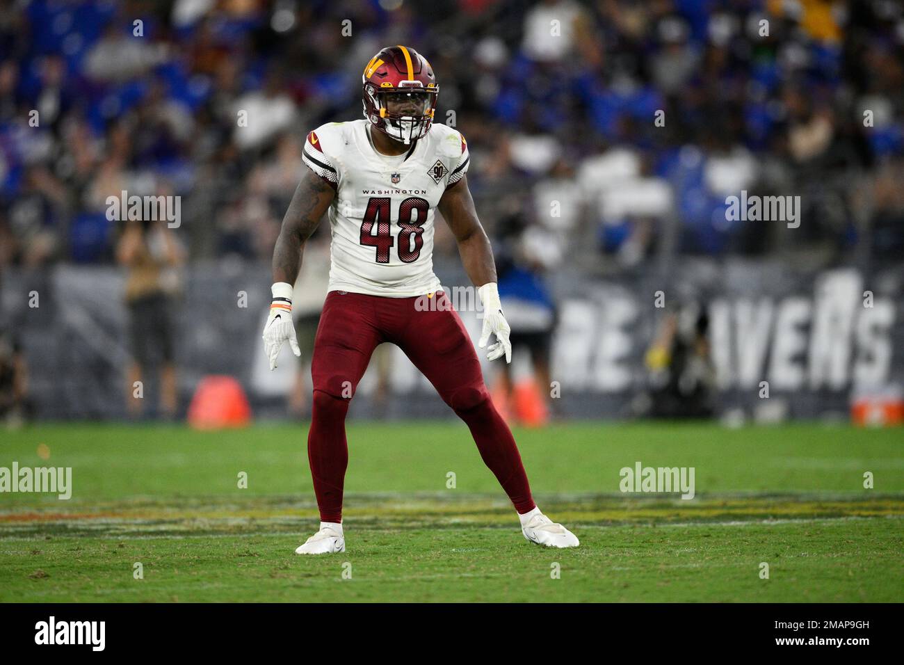 A Baltimore Ravens helmet is seen before a preseason NFL football game  between the Washington Commanders and the Ravens, Saturday, Aug. 27, 2022,  in Baltimore. (AP Photo/Nick Wass Stock Photo - Alamy