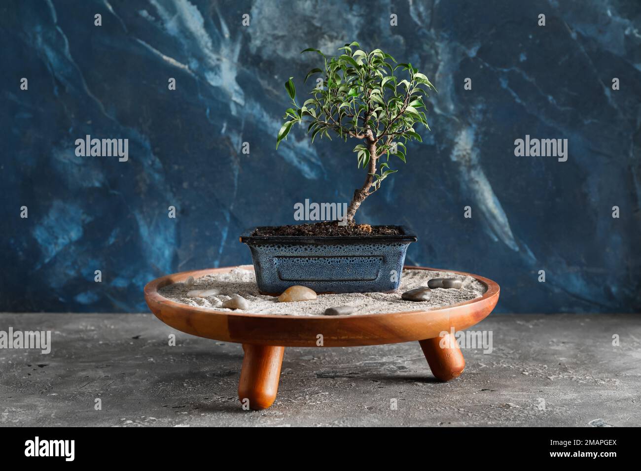bambus für sichtschutz Bambus Rollzaun Apus – Natürlicher Sichtschutz für Garten & Terrasse –  Bambusbasis main image 0