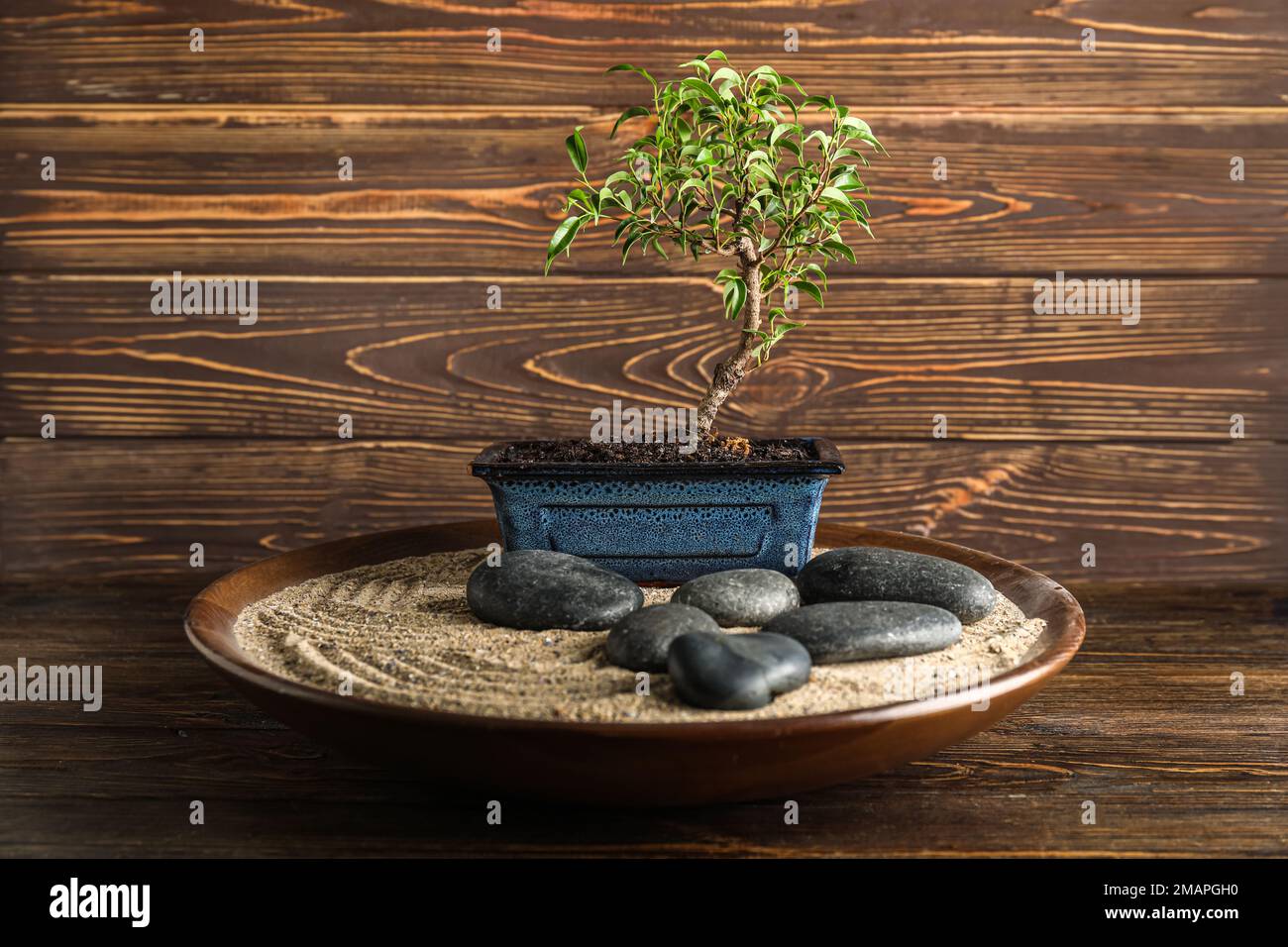 Plate with Bonsai tree, spa stones and sand on dark wooden background Stock  Photo - Alamy