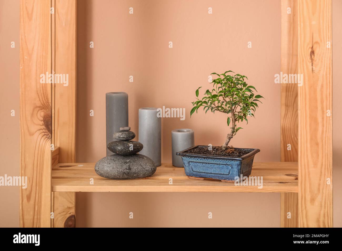 Bonsai tree, spa stones and candles on shelf near beige wall Stock